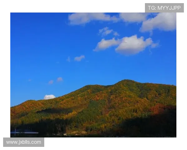 艾弗森回忆童年穿着风格独特自学成才的成长经历分享